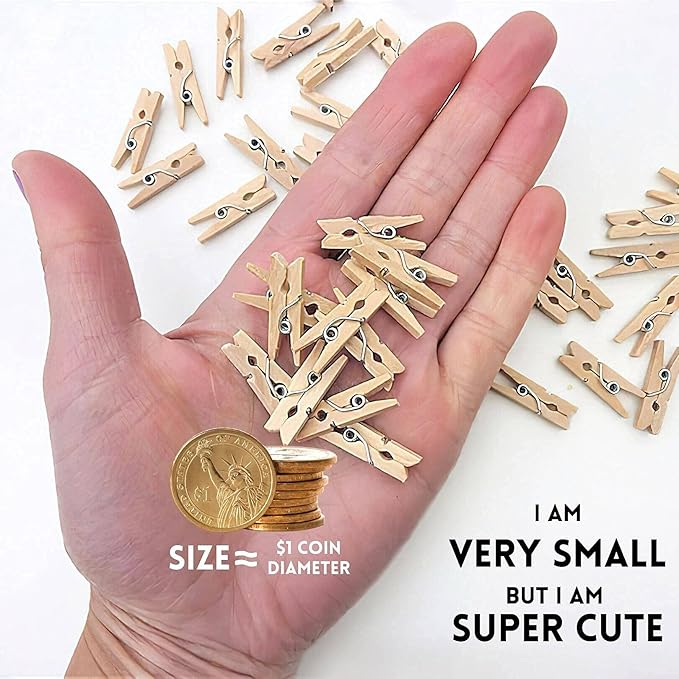 Mini Clothespins, Mini Clothes Pins for Photo Natural Wooden Small Picture Clips for Crafts 1 Inch 300 PCS Tiny Pegs with Jute Twine String Decorative Wood Clips for Wall Hanging Pictures