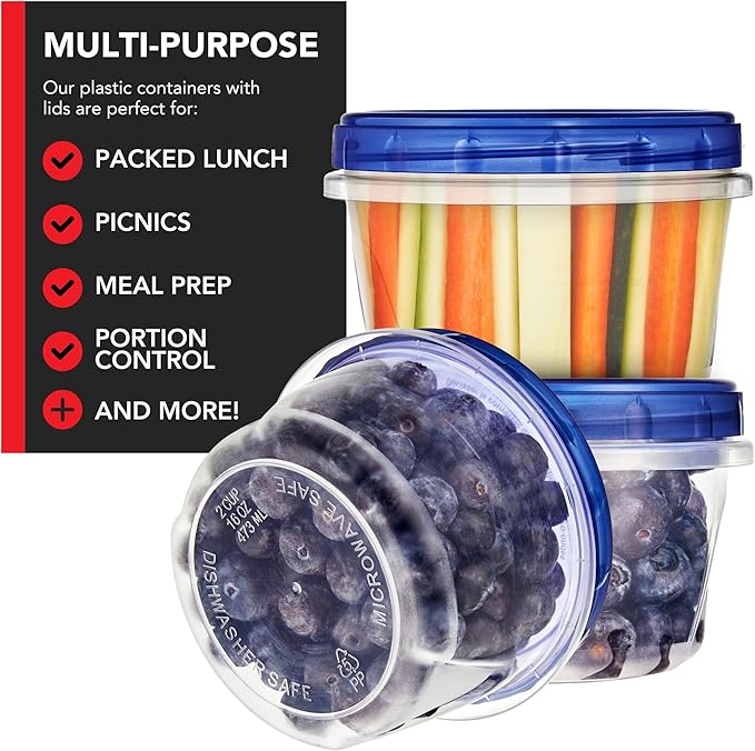 Stock Your Home 16oz Plastic Containers with Twist Top Lids (10 Pack), 2 Cup Freezer Containers with Lids for Leftover Food, Airtight Reusable Soup Containers, Microwave and Dishwasher Safe