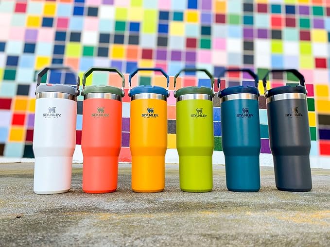 Stanley IceFlow Flip Straw Tumbler with Handle 30 oz | Twist On Lid and Flip Up Straw | Leak Resistant Water Bottle | Insulated Stainless Steel |BPA-Free | Polar