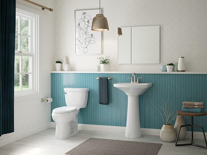 Kohler CB-CLC3026FS Bathroom Medicine Cabinet with Mirror, Beveled Mirror Doors, Adjustable Shelves, Rectangular Beveled Edge, 30 in. W x 26 in. H