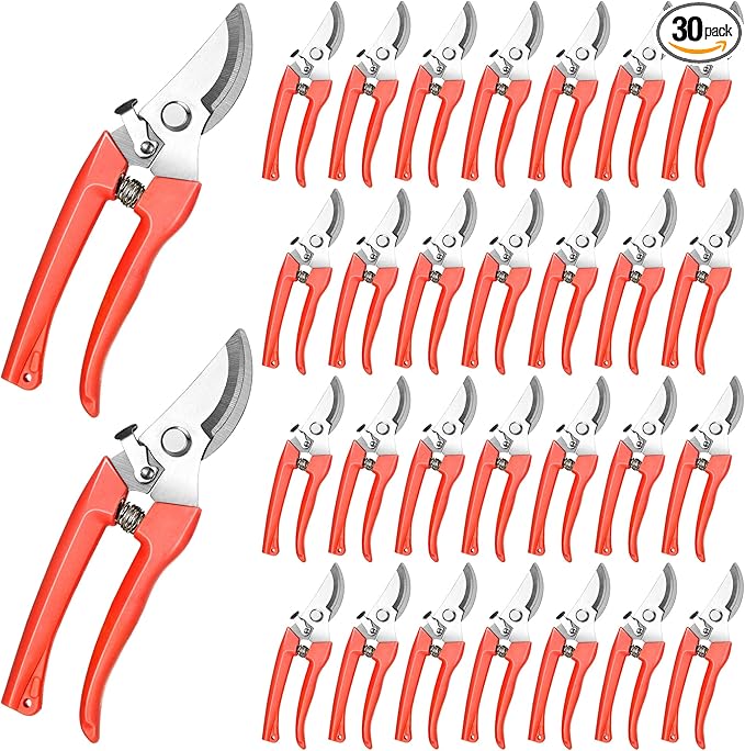 Chumia 30 Pack Garden Shears Flower Clippers for Plant Cutting, Black