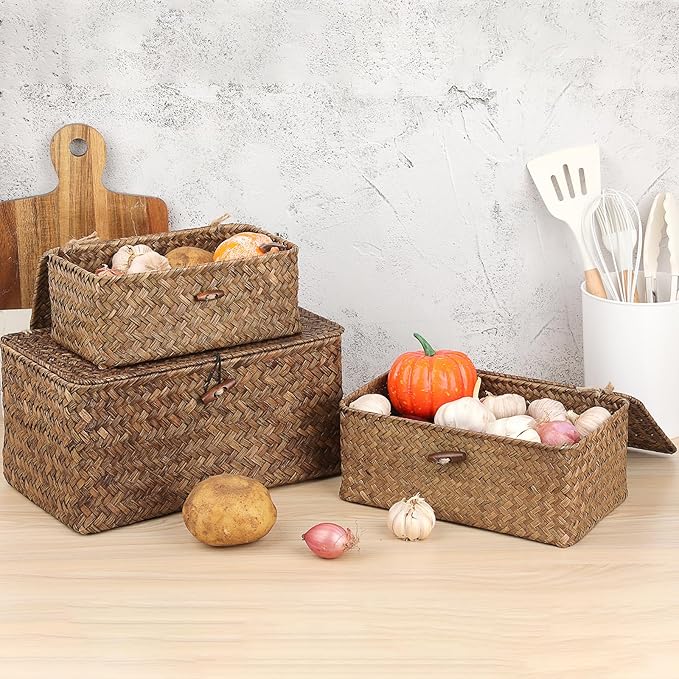 Sumnacon Small Wicker Basket with Lid Rectangle Woven Baskets for Toiletries Tampon Storage,Wicker Storage Basket with Lid,Decorative Seagrass Storage Baskets for Shelf Bathroom Toilet Table, Coffee