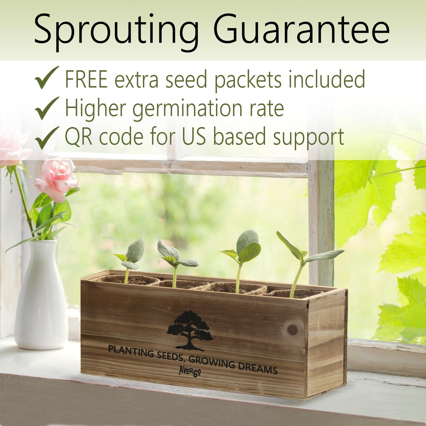 Avergo Bonsai Tree Kit – 4X Unique Japanese Bonzai Trees | Complete Indoor Starter Kit for Growing Bonsai Plants with Tools & Planters – Gardening Gifts for Women & Men