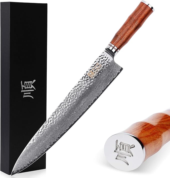 SUNLONG Gyuto 10 inch Pro Chef's Knife Japanese Knife Kitchen Knife - Hammered Damascus VG10 Steel - Bloodwood Handle